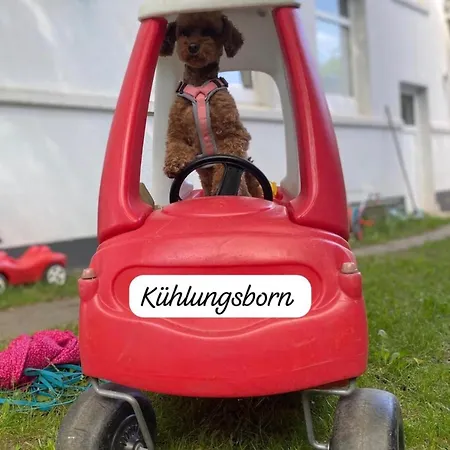 Sonnige 3-zi-ferienwohnung Im Herzen Kuehlungsborns